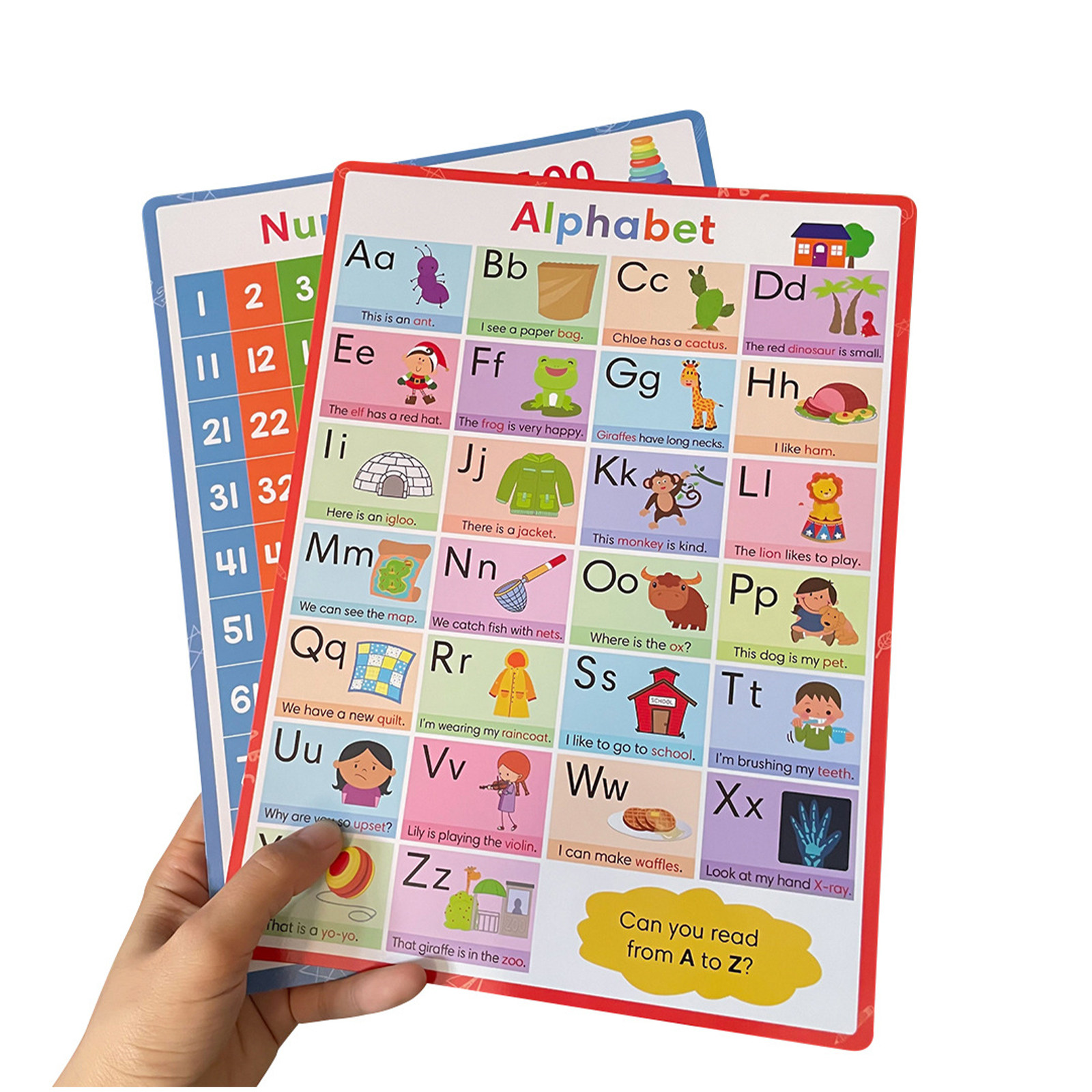 مجموعة من لوحتي حائط ملونتين ت - مراجعة Kids Education Wallpaper وسعره