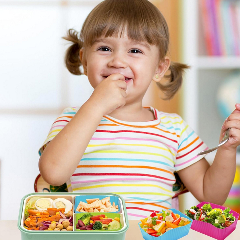 8 قطع من فواصل علب الغداء السي - مراجعة Kids Education School وسعره
